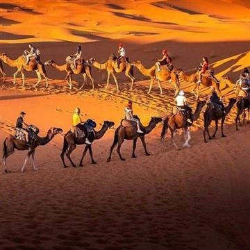 De geschiedenis van de introductie van Chinese thee in Afrika