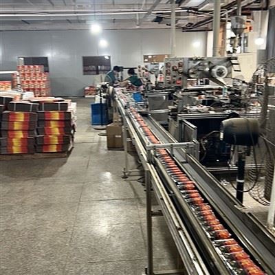 Commerciële buskruitthee|Ultra-Duurzame parels met weinig residu voor catering en blending